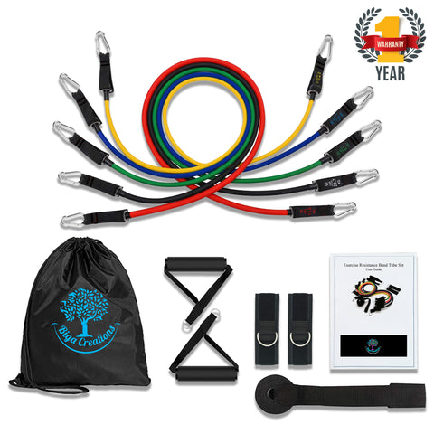 Resistance band set for Home Gym/Exercise equipment.